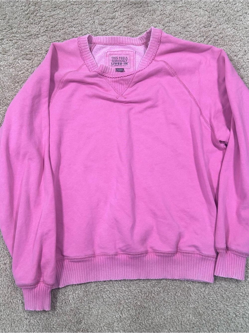 Pink American Eagle Outfitters “This feels seriously lived in” crewneck